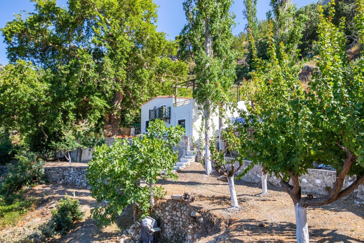Mertonas Villa Кира Панагя Экстерьер фото