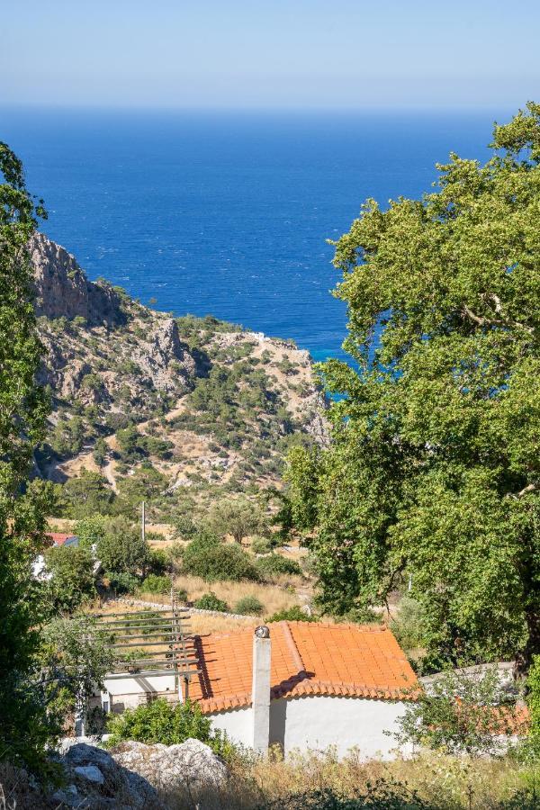 Mertonas Villa Кира Панагя Экстерьер фото